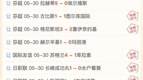 哈卡主场优势显著，五成胜率解析：独家赛事攻略